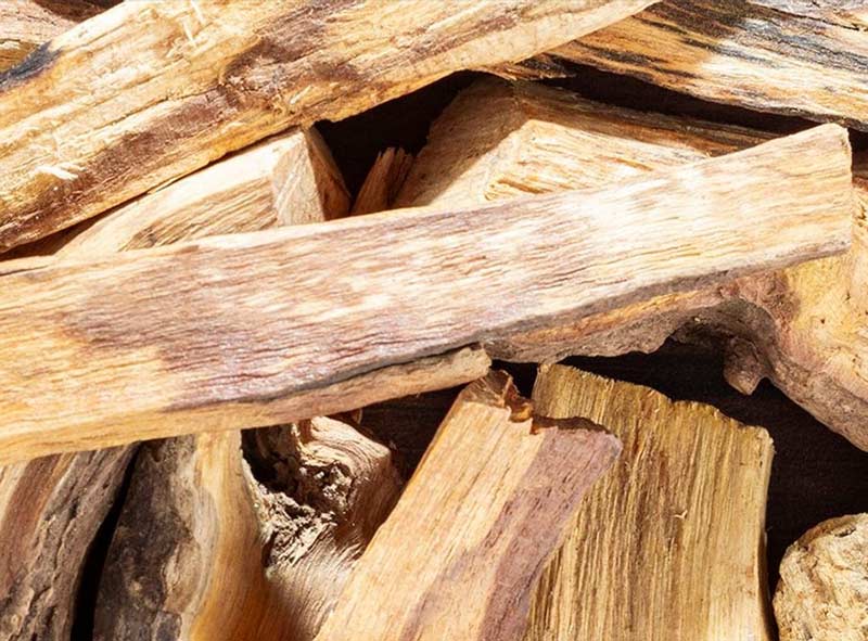 La madera de guayaco aporta profundidad y calidez a la base de la fragancia. Esta nota amaderada garantiza una potencia duradera y una estela más rica, sin perder la ligereza del perfume.